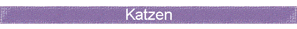Katzen