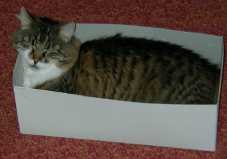 durch Anklicken wird das Bild gro